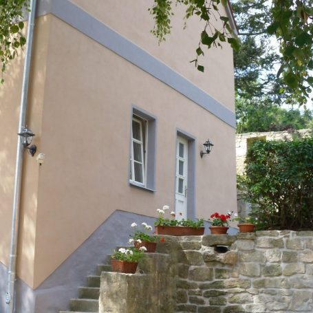 Bäume am Feldrand mit der untergehenden Sonne im Hintergrund.